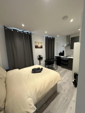 Studio Near Buckingham Palace